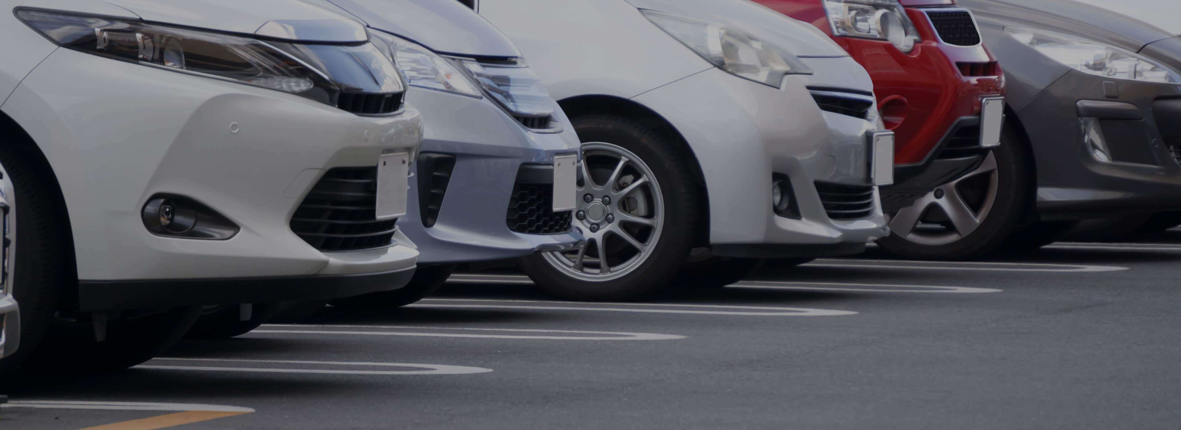 w-full h-full object-cover